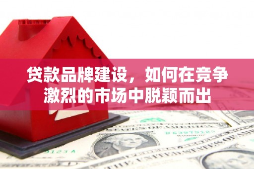 横沥贷款品牌建设，如何在竞争激烈的市场中脱颖而出