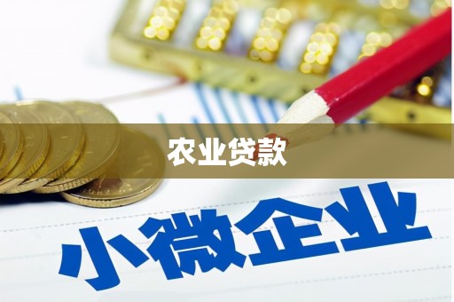 横沥农业贷款