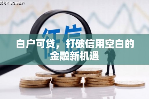 横沥白户可贷，打破信用空白的金融新机遇
