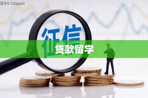 横沥贷款留学