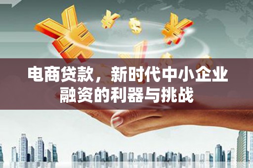 横沥电商贷款，新时代中小企业融资的利器与挑战