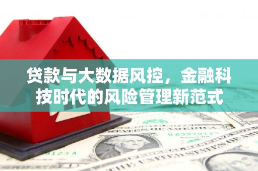 横沥贷款与大数据风控，金融科技时代的风险管理新范式