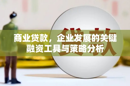 横沥商业贷款，企业发展的关键融资工具与策略分析