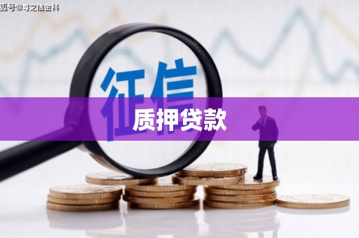 横沥质押贷款
