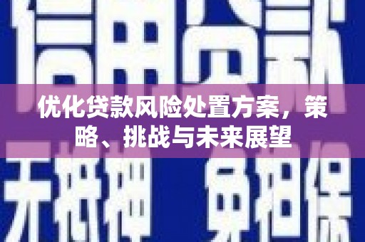 横沥优化贷款风险处置方案，策略、挑战与未来展望