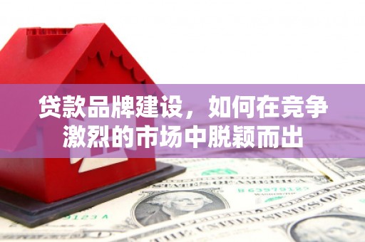 横沥贷款品牌建设，如何在竞争激烈的市场中脱颖而出