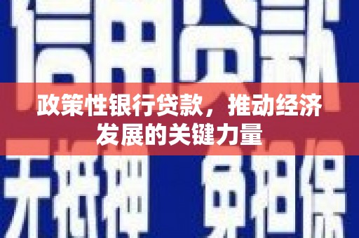 横沥政策性银行贷款，推动经济发展的关键力量