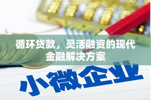 横沥循环贷款，灵活融资的现代金融解决方案
