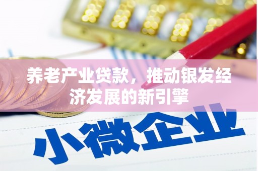横沥养老产业贷款，推动银发经济发展的新引擎