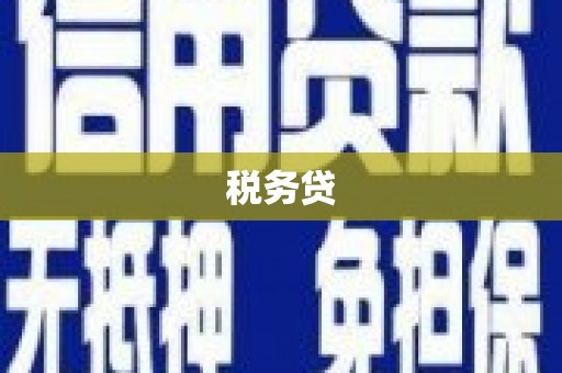 横沥税务贷