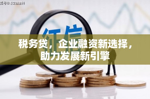 横沥税务贷，企业融资新选择，助力发展新引擎