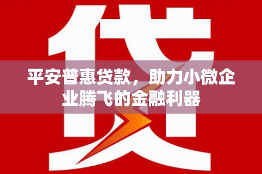 横沥平安普惠贷款，助力小微企业腾飞的金融利器