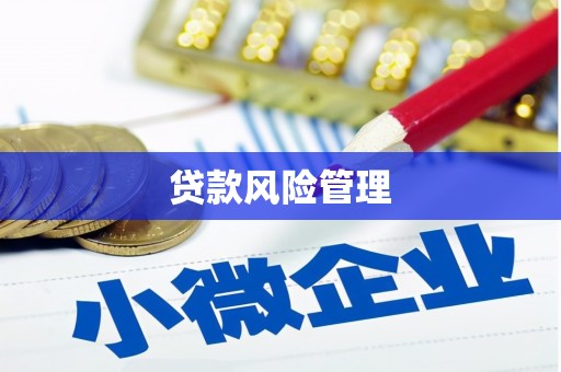横沥贷款风险管理