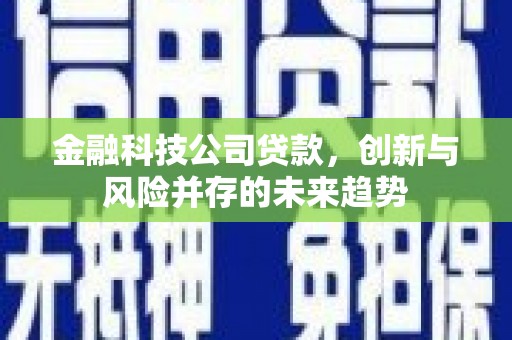 横沥金融科技公司贷款，创新与风险并存的未来趋势