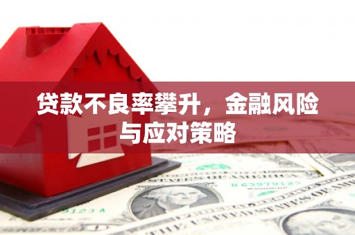 横沥贷款不良率攀升，金融风险与应对策略
