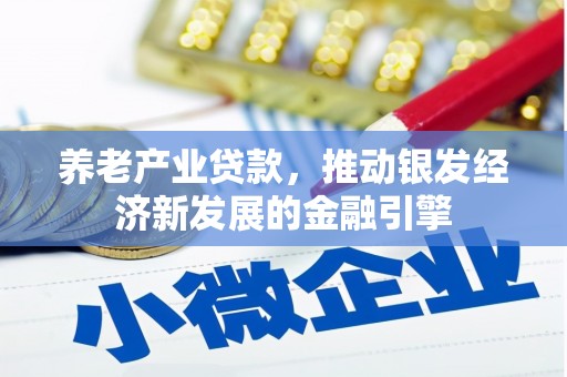 横沥养老产业贷款，推动银发经济新发展的金融引擎
