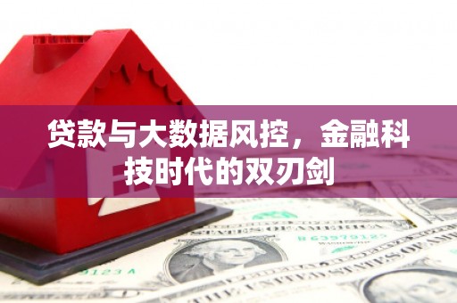 横沥贷款与大数据风控，金融科技时代的双刃剑