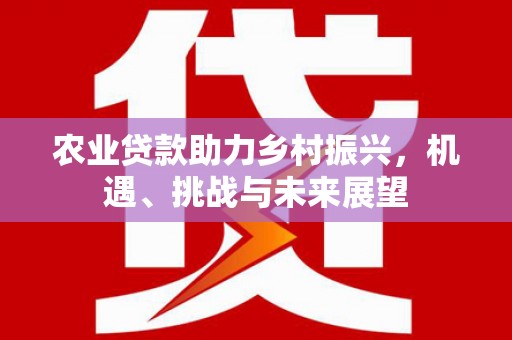 横沥农业贷款助力乡村振兴，机遇、挑战与未来展望
