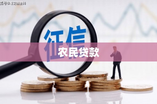 横沥农民贷款