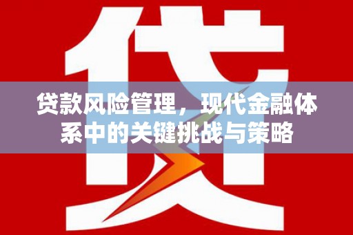 横沥贷款风险管理，现代金融体系中的关键挑战与策略