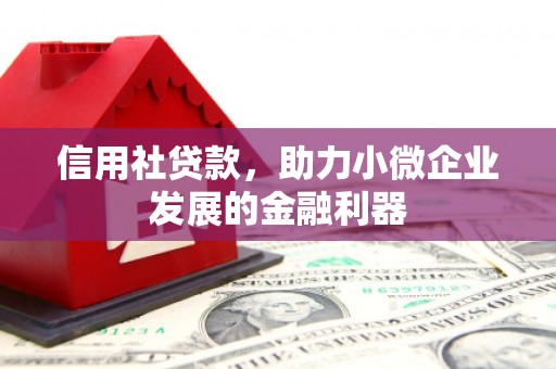 横沥信用社贷款，助力小微企业发展的金融利器