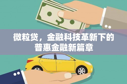 横沥微粒贷，金融科技革新下的普惠金融新篇章