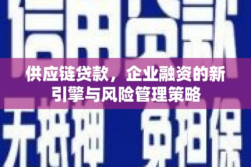 横沥供应链贷款，企业融资的新引擎与风险管理策略
