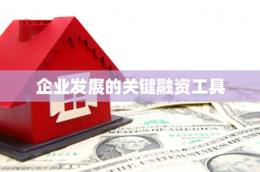 横沥企业发展的关键融资工具