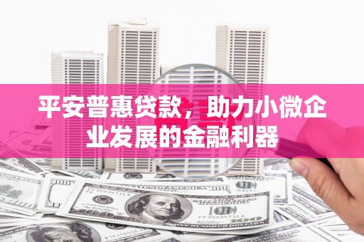 横沥平安普惠贷款，助力小微企业发展的金融利器