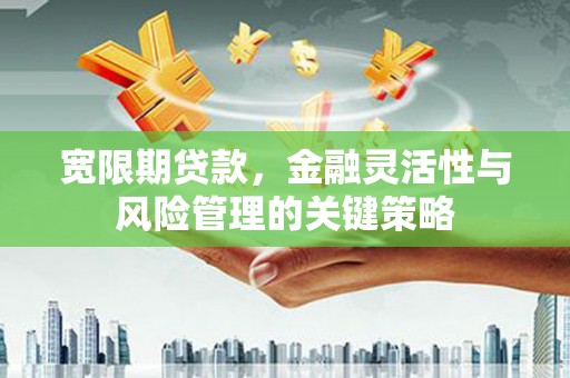 横沥宽限期贷款，金融灵活性与风险管理的关键策略
