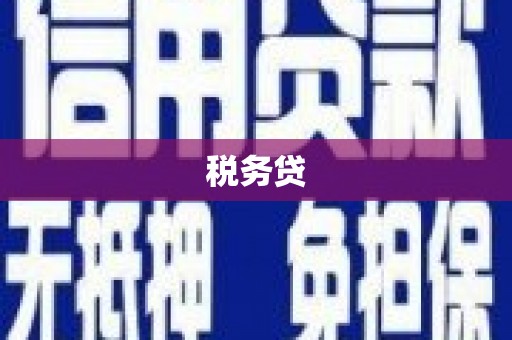 横沥税务贷