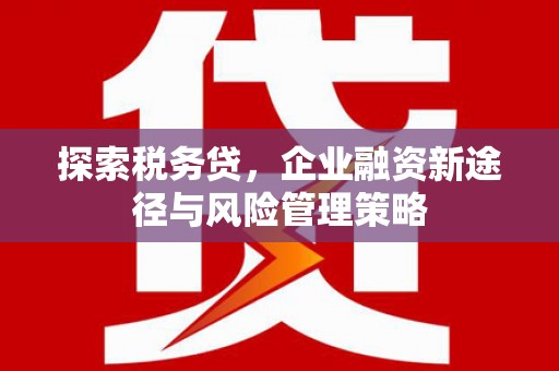 横沥探索税务贷，企业融资新途径与风险管理策略