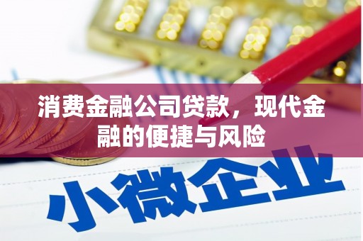 横沥消费金融公司贷款，现代金融的便捷与风险