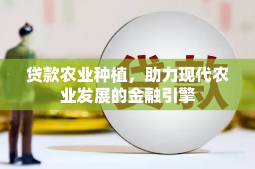 横沥贷款农业种植，助力现代农业发展的金融引擎
