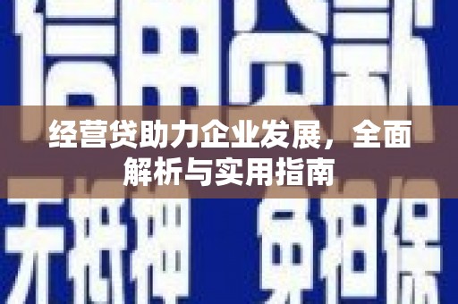 横沥经营贷助力企业发展，全面解析与实用指南