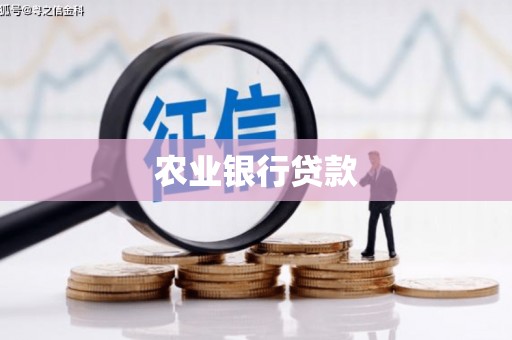 横沥农业银行贷款