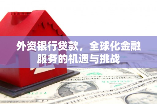 横沥外资银行贷款，全球化金融服务的机遇与挑战