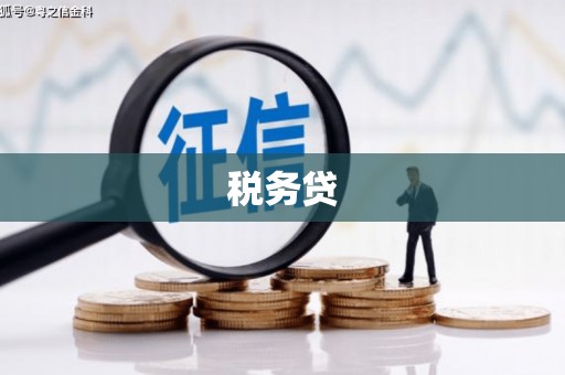 横沥税务贷