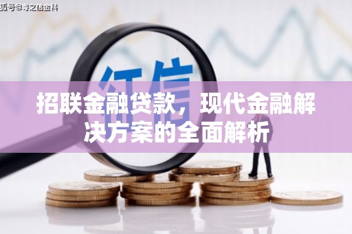 横沥招联金融贷款，现代金融解决方案的全面解析