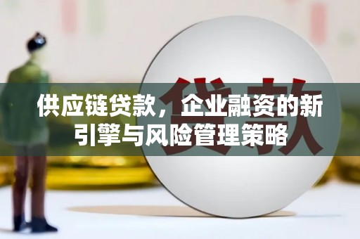 横沥供应链贷款，企业融资的新引擎与风险管理策略