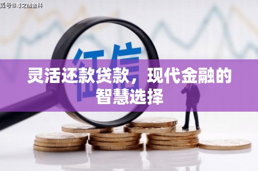 横沥灵活还款贷款，现代金融的智慧选择