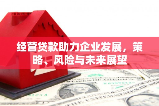 横沥经营贷款助力企业发展，策略、风险与未来展望