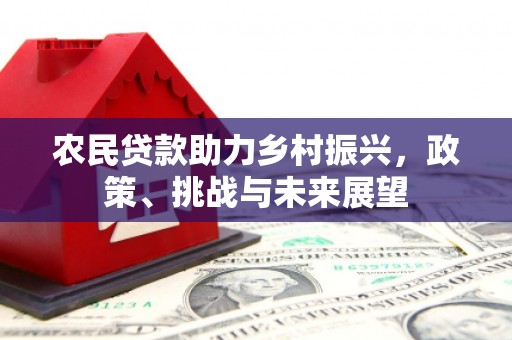 横沥农民贷款助力乡村振兴，政策、挑战与未来展望