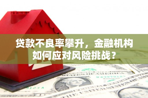 横沥贷款不良率攀升，金融机构如何应对风险挑战？