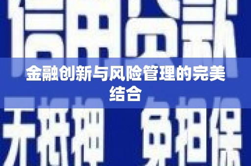 横沥金融创新与风险管理的完美结合