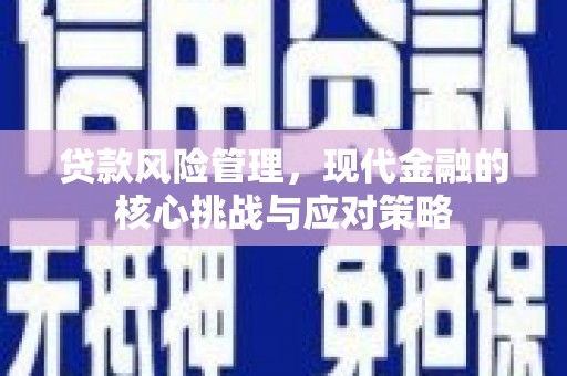 横沥贷款风险管理，现代金融的核心挑战与应对策略