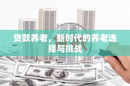 横沥贷款养老，新时代的养老选择与挑战