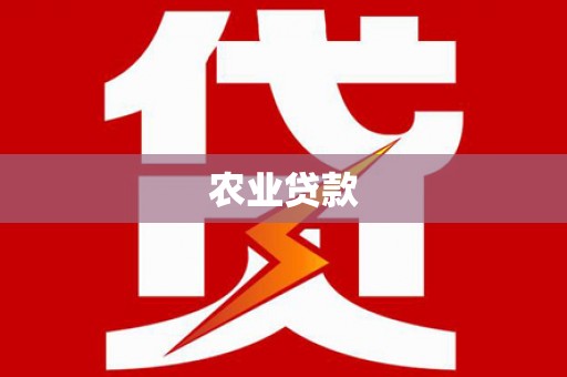 横沥农业贷款