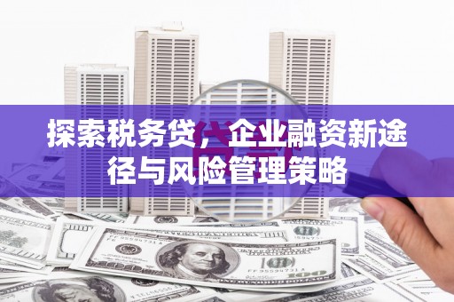 横沥探索税务贷，企业融资新途径与风险管理策略