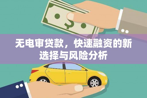 横沥无电审贷款，快速融资的新选择与风险分析